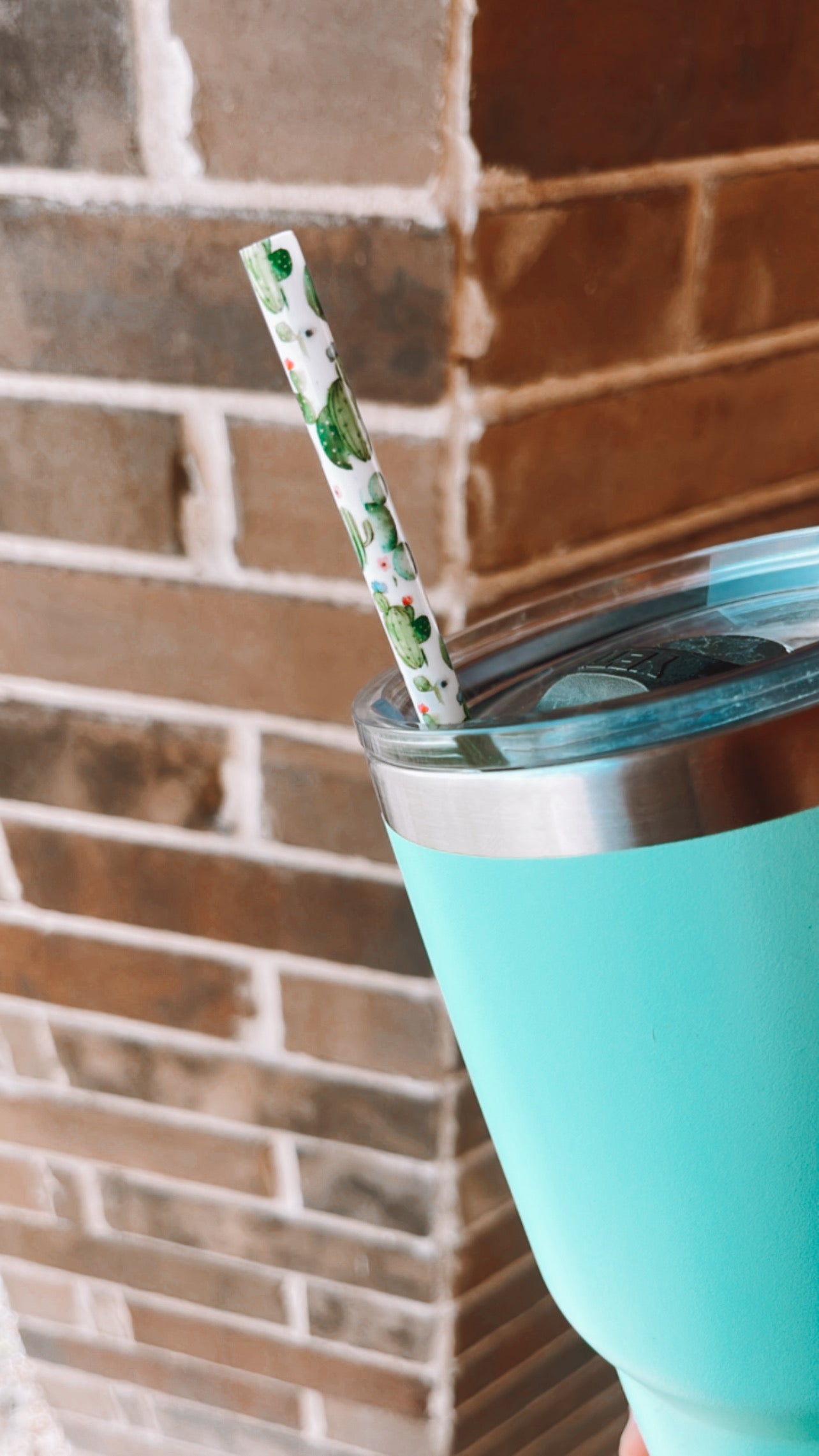 Reusable Straw - Cactus