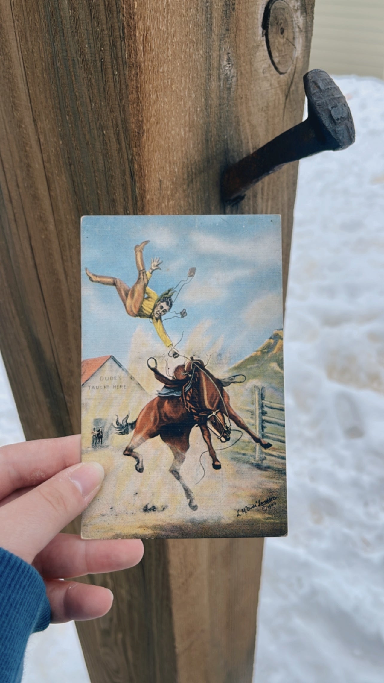 Dudes Taught Here post card