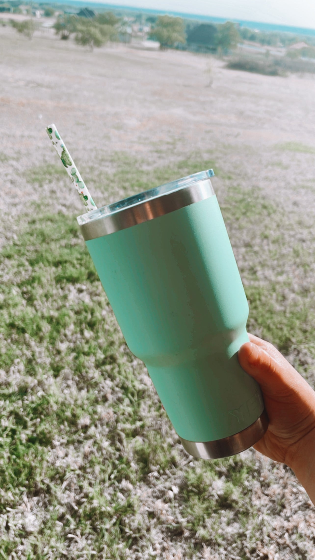 Reusable Straw - Cactus