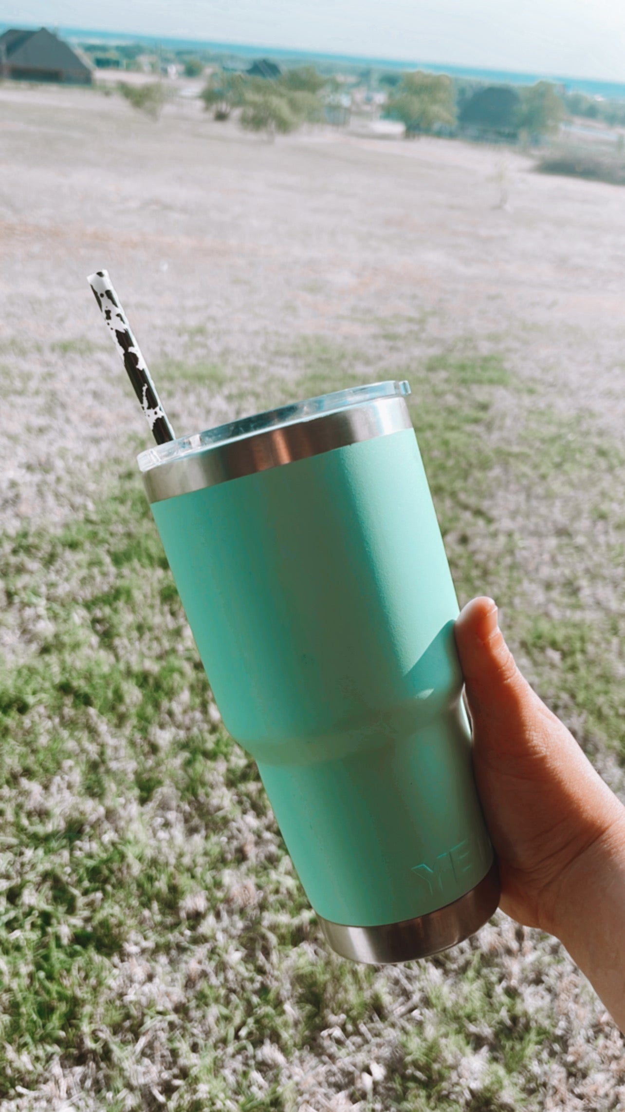 Reusable Straw - Cow Print
