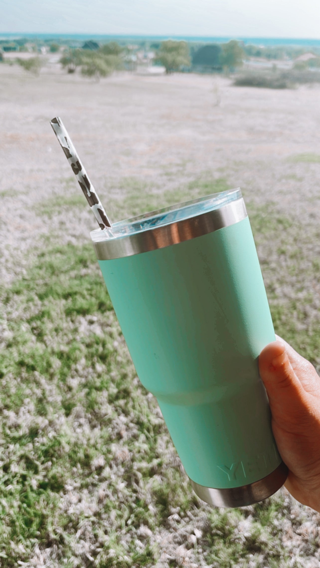 Reusable Straw - Clear Cow
