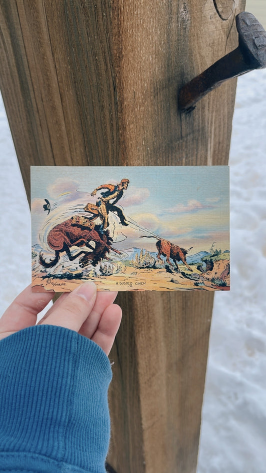 A busted cinch post card
