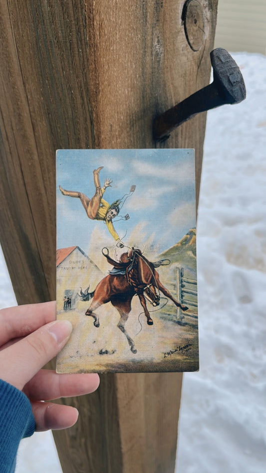 Dudes Taught Here post card