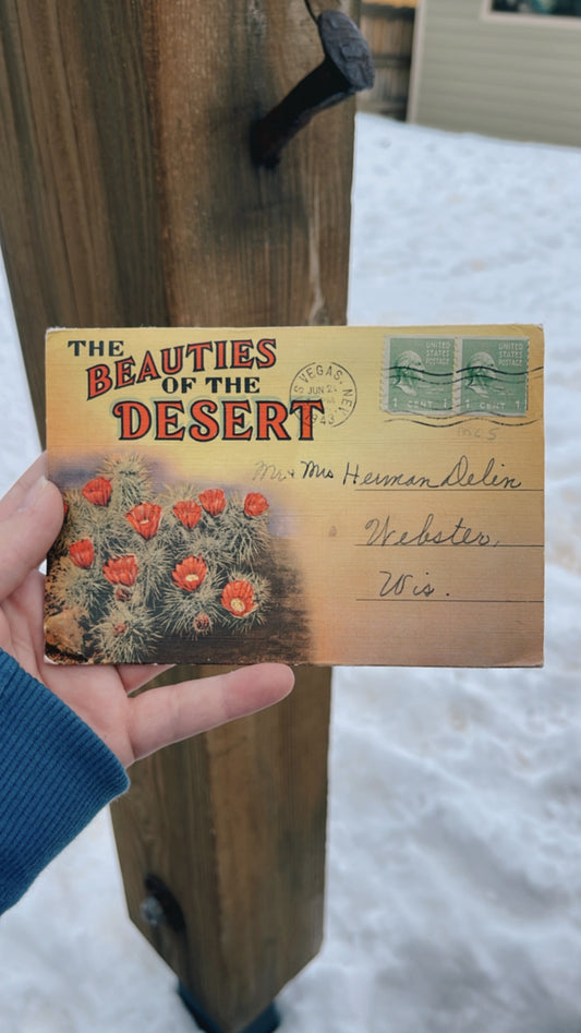 Beauties of the desert postcard book